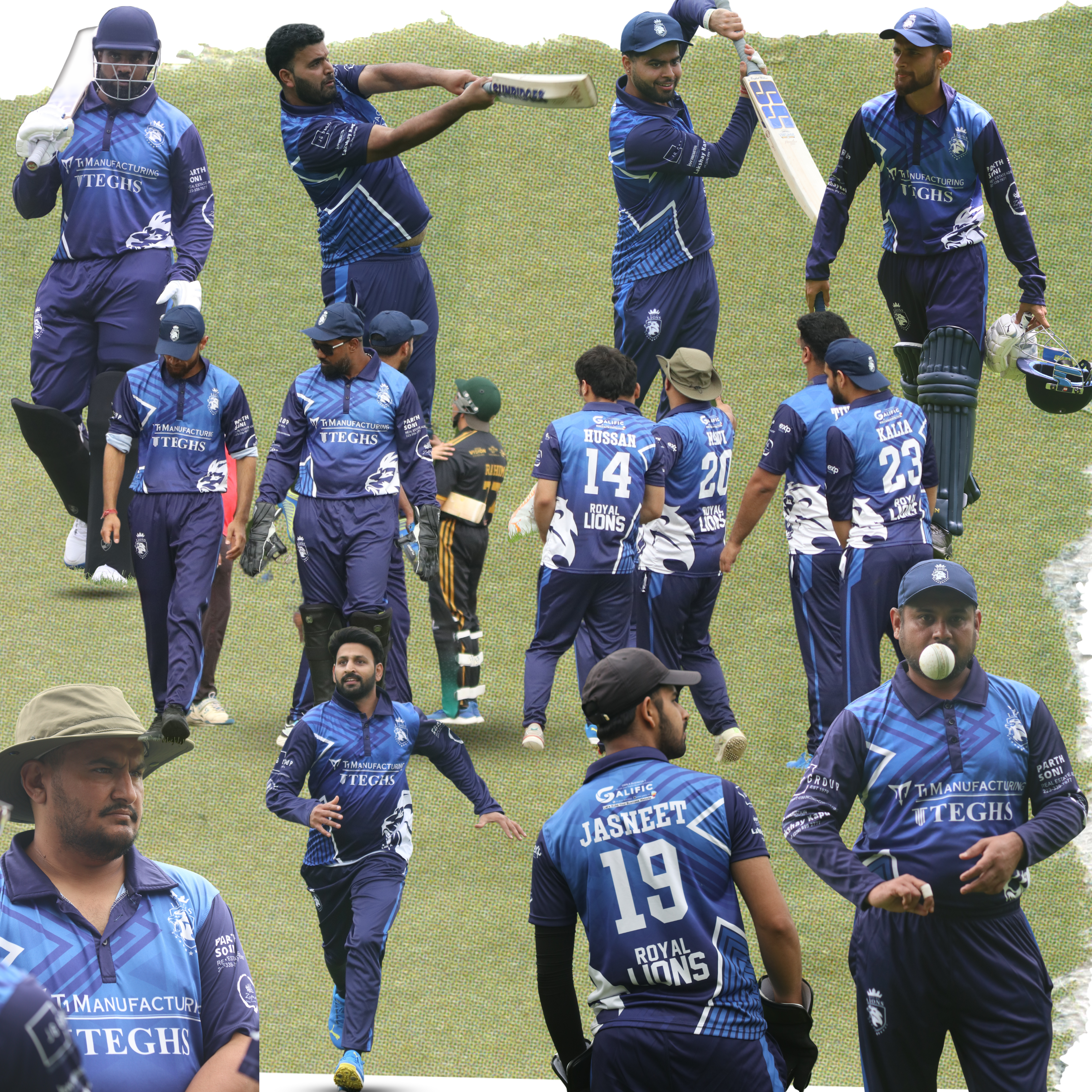 royal lions cc, cricket club in kitchener, cricket club in guelph, cricket club in waterloo