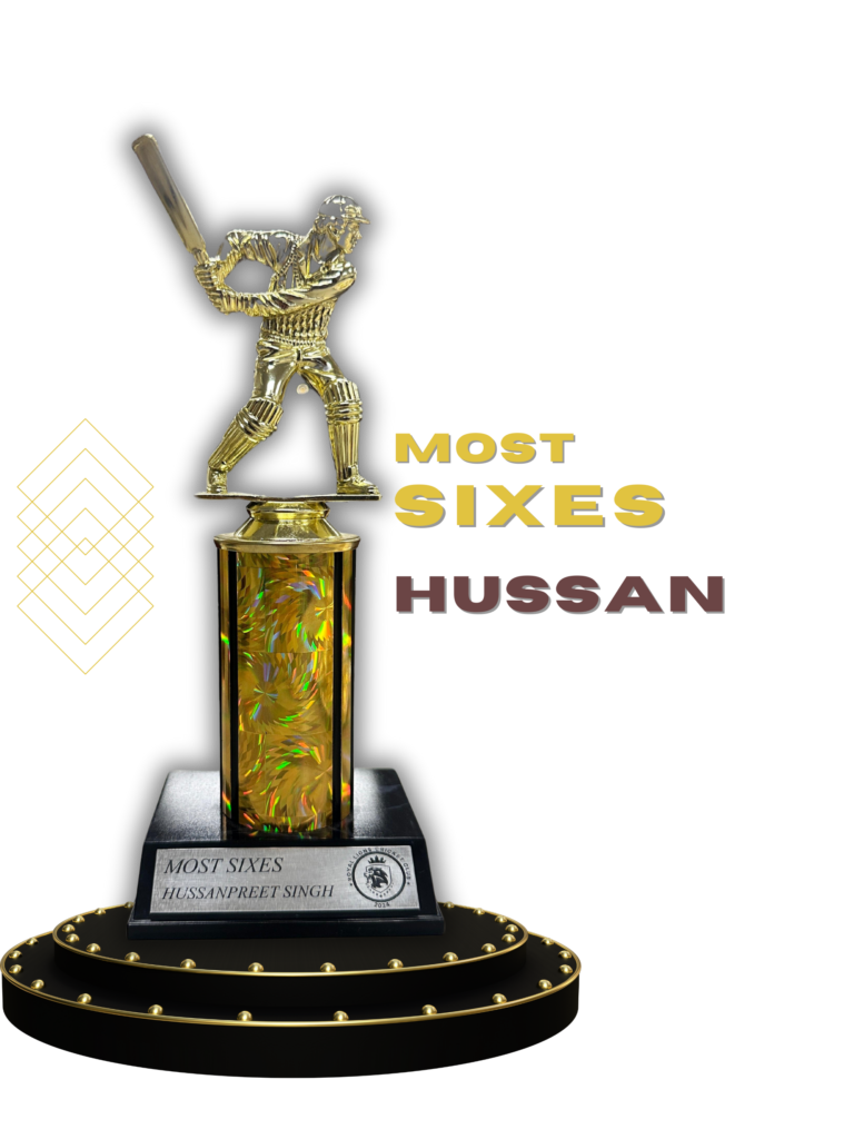 royal lions cc, cricket club in kitchener, cricket club in guelph, cricket club in waterloo