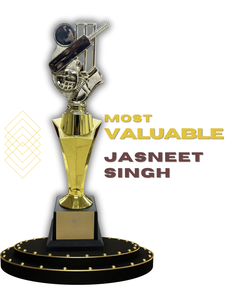 royal lions cc, cricket club in kitchener, cricket club in guelph, cricket club in waterloo